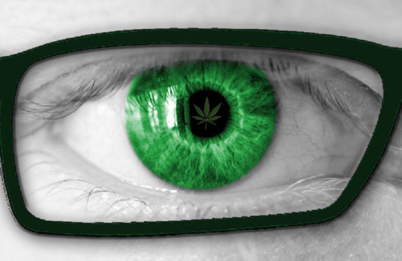 глаукома марихуана в россии